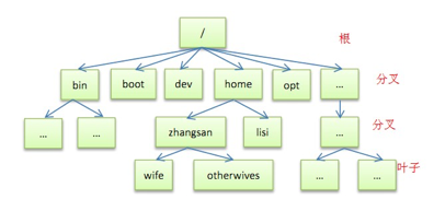 Linux-Path-Structure